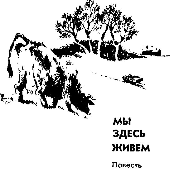 Обложка книги «Мы здесь живём»