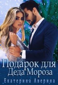Обложка книги «Подарок для Деда Мороза»