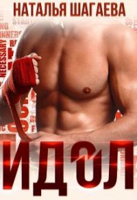 Обложка книги «Идол»