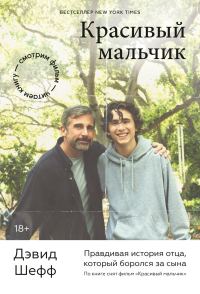 Обложка книги «Красивый мальчик. Правдивая история отца, который боролся за сына»