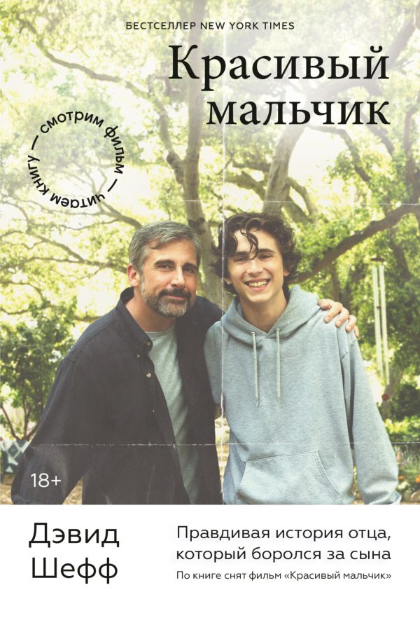 Обложка книги «Красивый мальчик. Правдивая история отца, который боролся за сына»