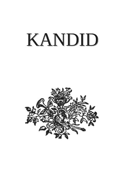 Обложка книги «Kandid aŭ la Optimismo»