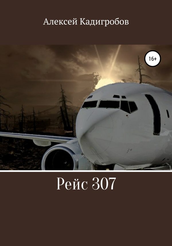 Обложка книги «Рейс 307»