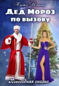 Обложка книги «Дед Мороз по вызову»