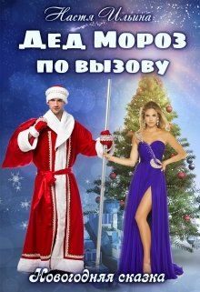 Обложка книги «Дед Мороз по вызову»