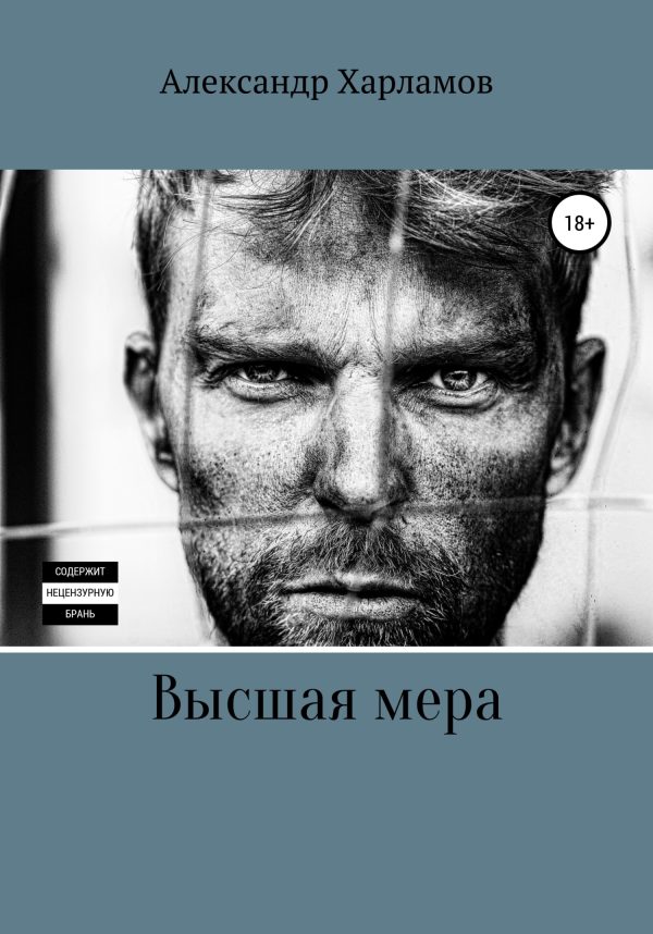 Обложка книги «Высшая мера»