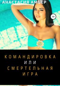 Обложка книги «Командировка»