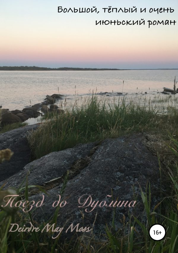 Обложка книги «Поезд до Дублина»