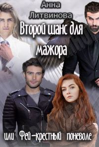 Обложка книги «Второй шанс для мажора или Фей-крестный поневоле»