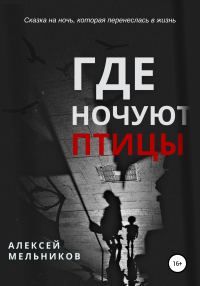 Обложка книги «Где ночуют птицы»