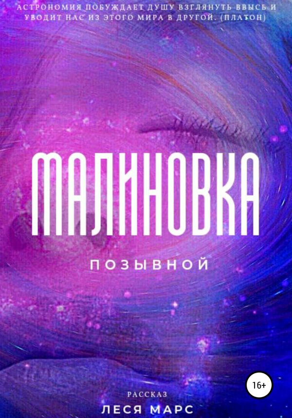 Обложка книги «Позывной «Малиновка»»
