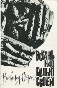 Обложка книги «Встань над болью своей»