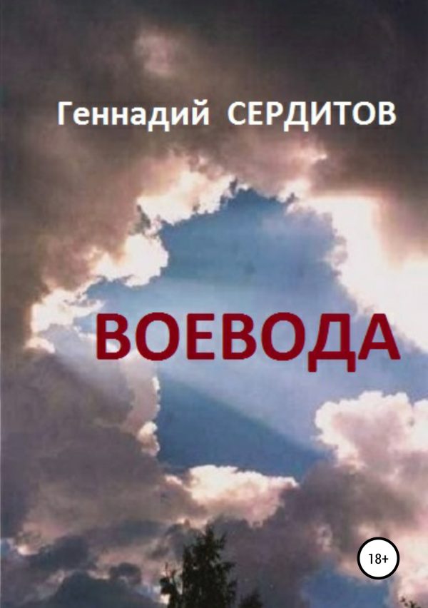 Обложка книги «Воевода»