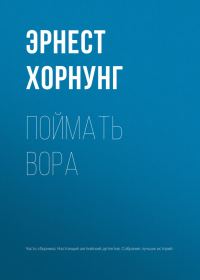 Обложка книги «Поймать вора»