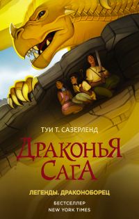 Обложка книги «Драконоборец»