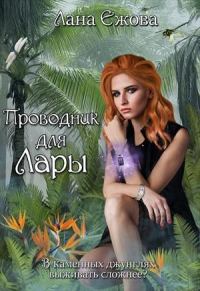Обложка книги «Проводник для Лары»