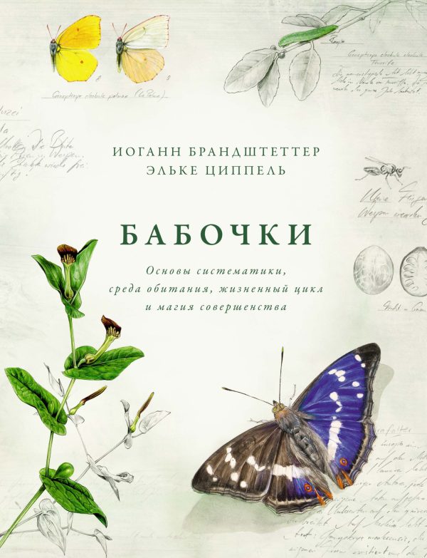 Обложка книги «Бабочки. Основы систематики, среда обитания, жизненный цикл и магия совершенства»
