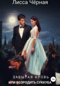 Обложка книги «Забытая кровь, или Возродить суккуба»