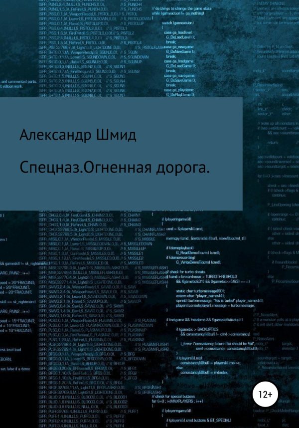 Обложка книги «Спецназ. Огненная дорога.»