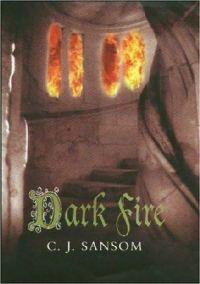 Обложка книги «Dark Fire»