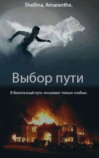 Обложка книги «Выбор пути»