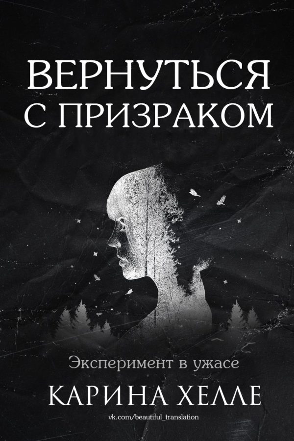 Обложка книги «Вернуться с призраком»