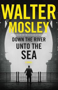Обложка книги «Down the River unto the Sea»