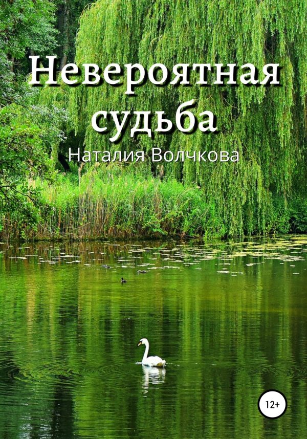 Обложка книги «Невероятная судьба»