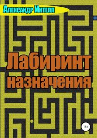 Обложка книги «Лабиринт назначения»