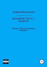 Обложка книги «Дальнобой. Часть 2. Бандиты»