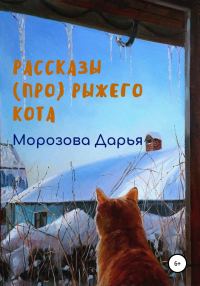 Обложка книги «Рассказы (про) рыжего кота»