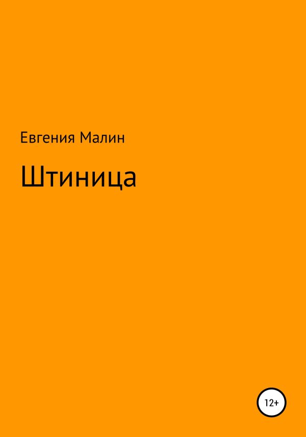 Обложка книги «Штиница»