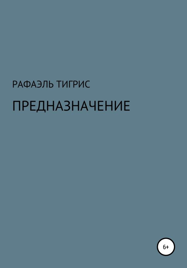 Обложка книги «Предназначение»