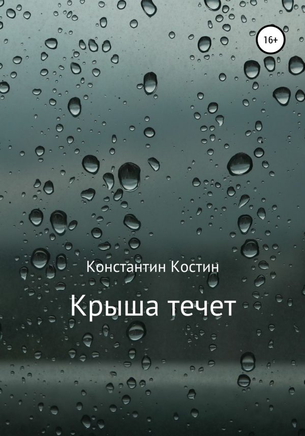 Обложка книги «Крыша течет»