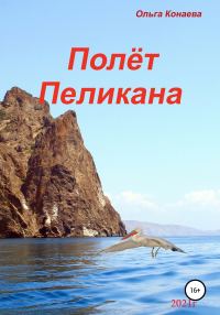 Обложка книги «Полёт пеликана»