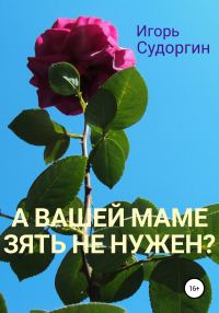 Обложка книги «А вашей маме зять не нужен?»