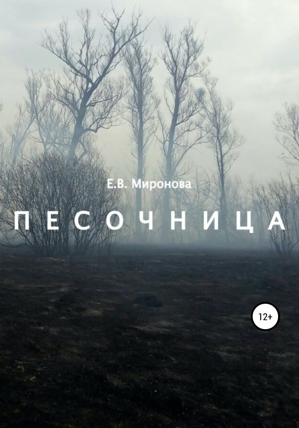 Обложка книги «Песочница»