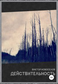 Обложка книги «Действительность»