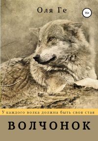 Обложка книги «Волчонок»