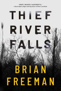 Обложка книги «Thief River Falls»