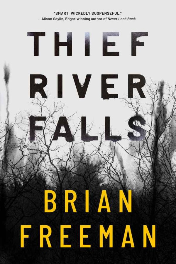 Обложка книги «Thief River Falls»