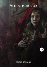 Обложка книги «Агнес и посох»