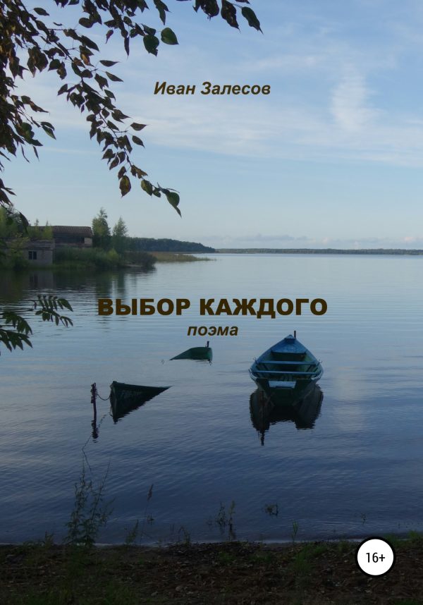Обложка книги «Выбор каждого»