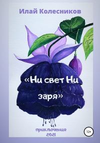 Обложка книги «Ни свет ни заря»