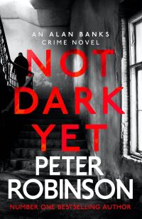 Обложка книги «Not Dark Yet»