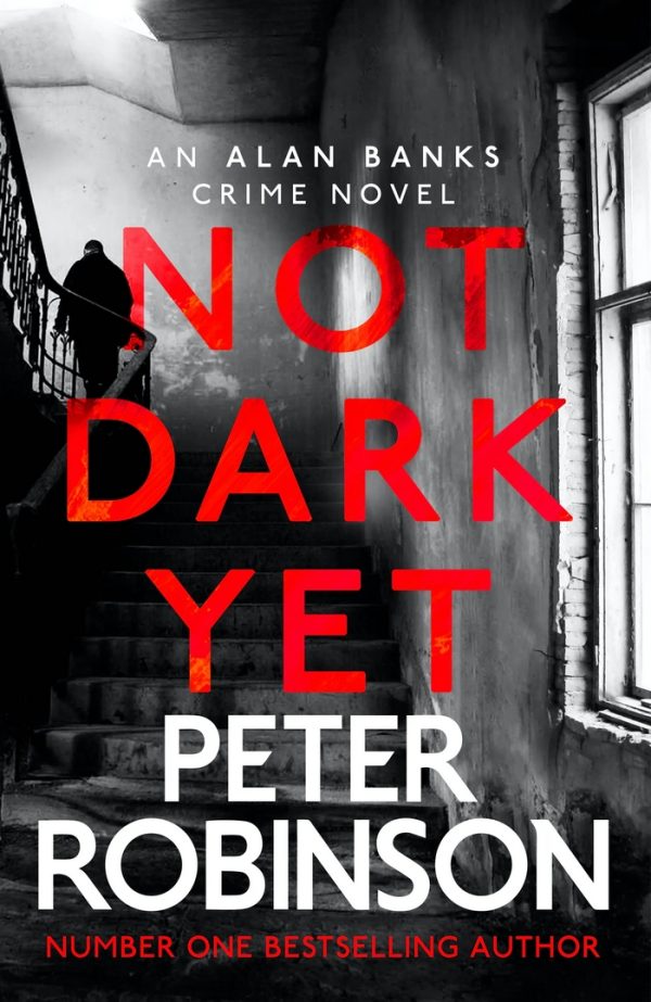 Обложка книги «Not Dark Yet»