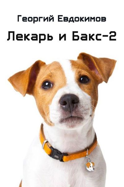 Обложка книги «Лекарь и Бакс-2»