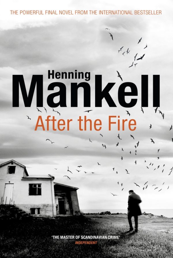Обложка книги «After the Fire»