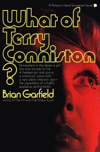 Обложка книги «What of Terry Conniston?»