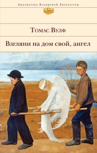 Обложка книги «Взгляни на дом свой, ангел»